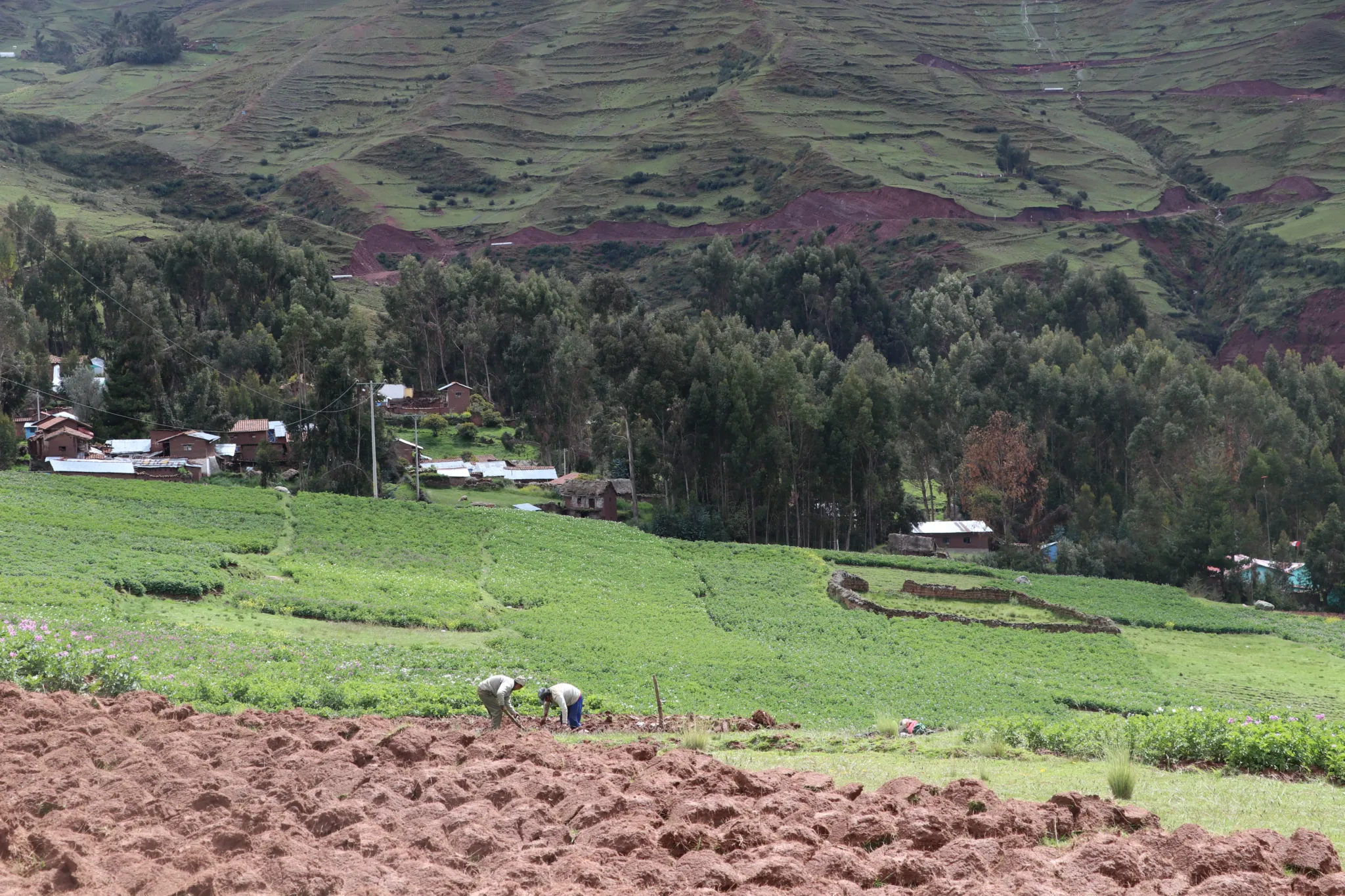 Puyca rural comunity