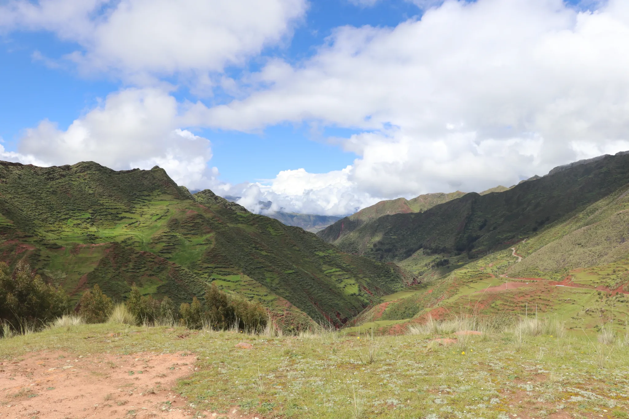 Puyca scenary