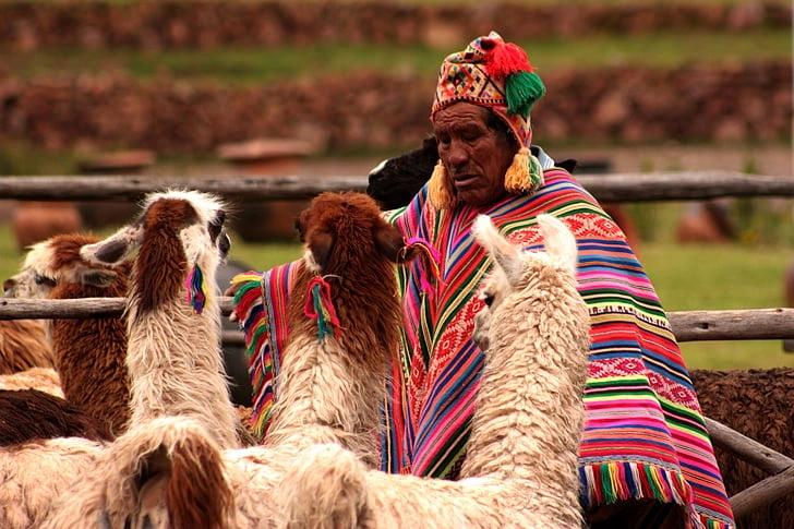 llamero