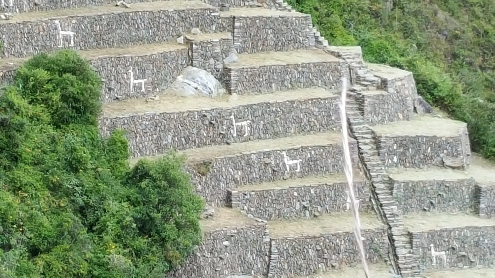 Choquequirao - Llamas sector