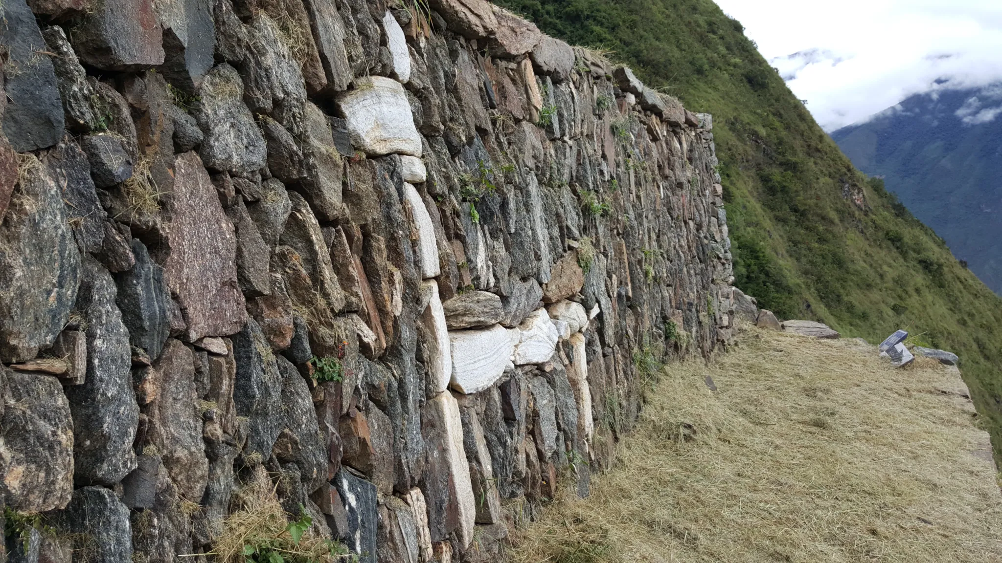 Choquequirao llama decoration