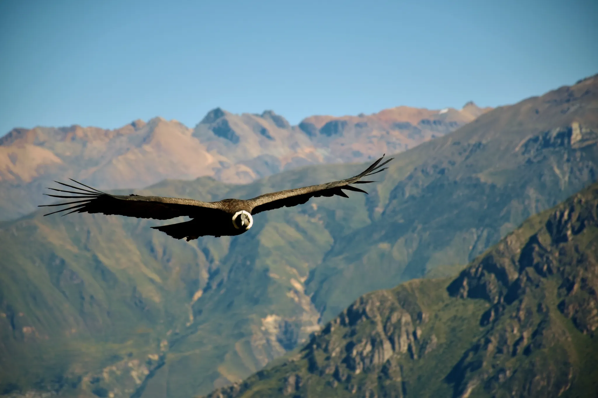 Experience Condor