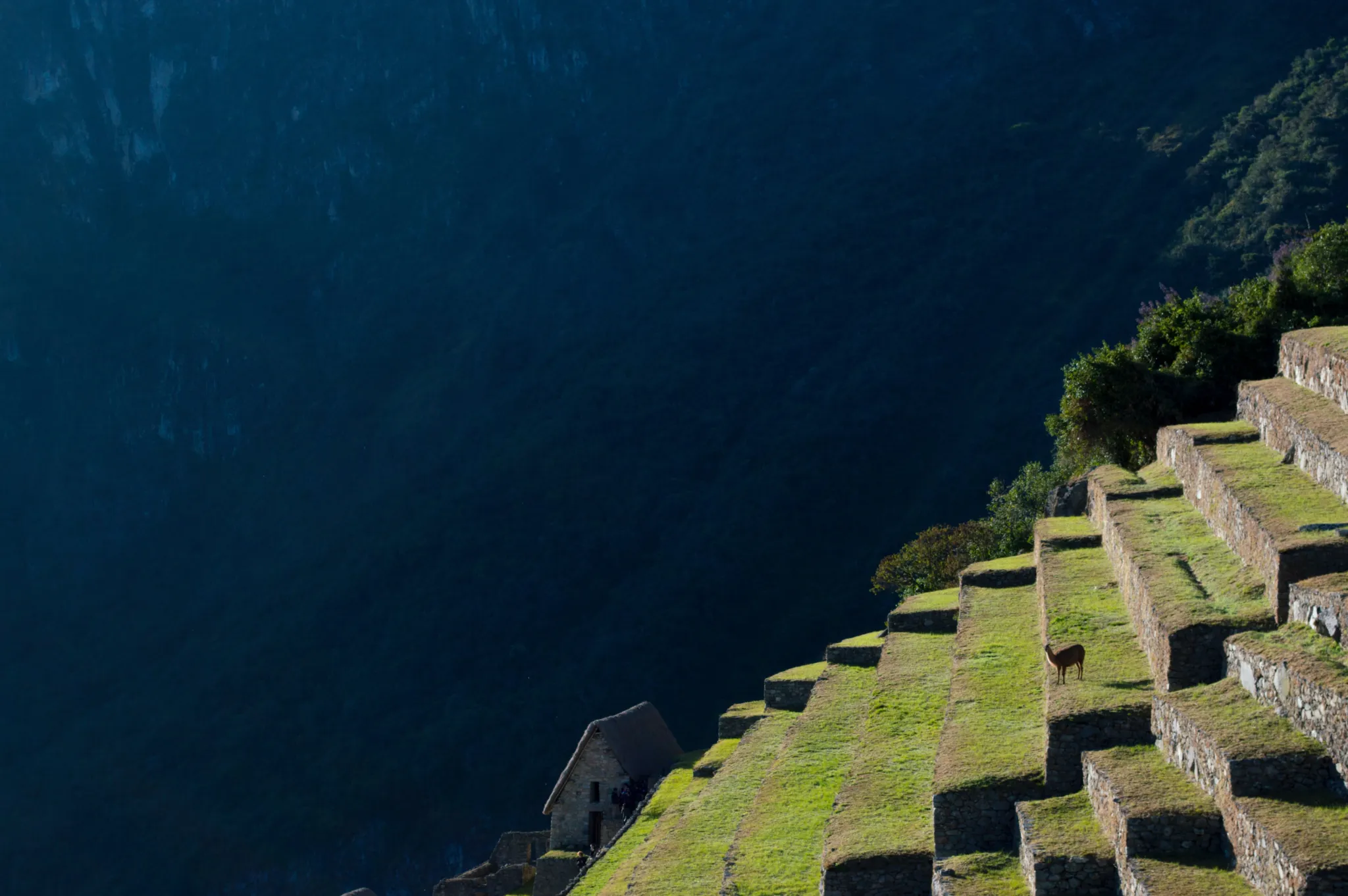 Machupicchu terraces