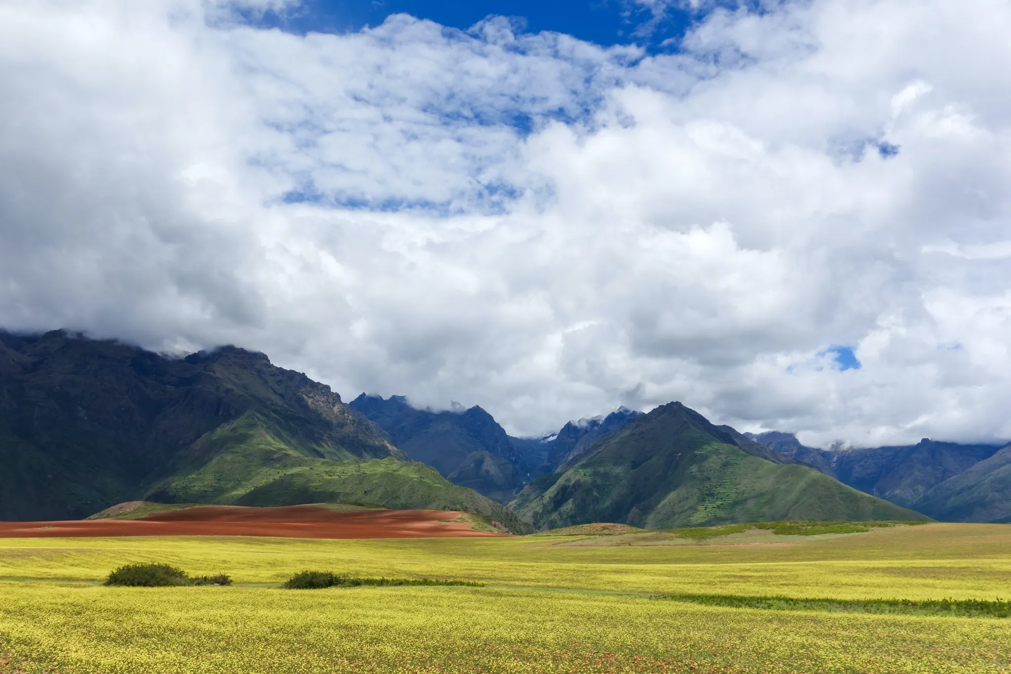Maras highland,