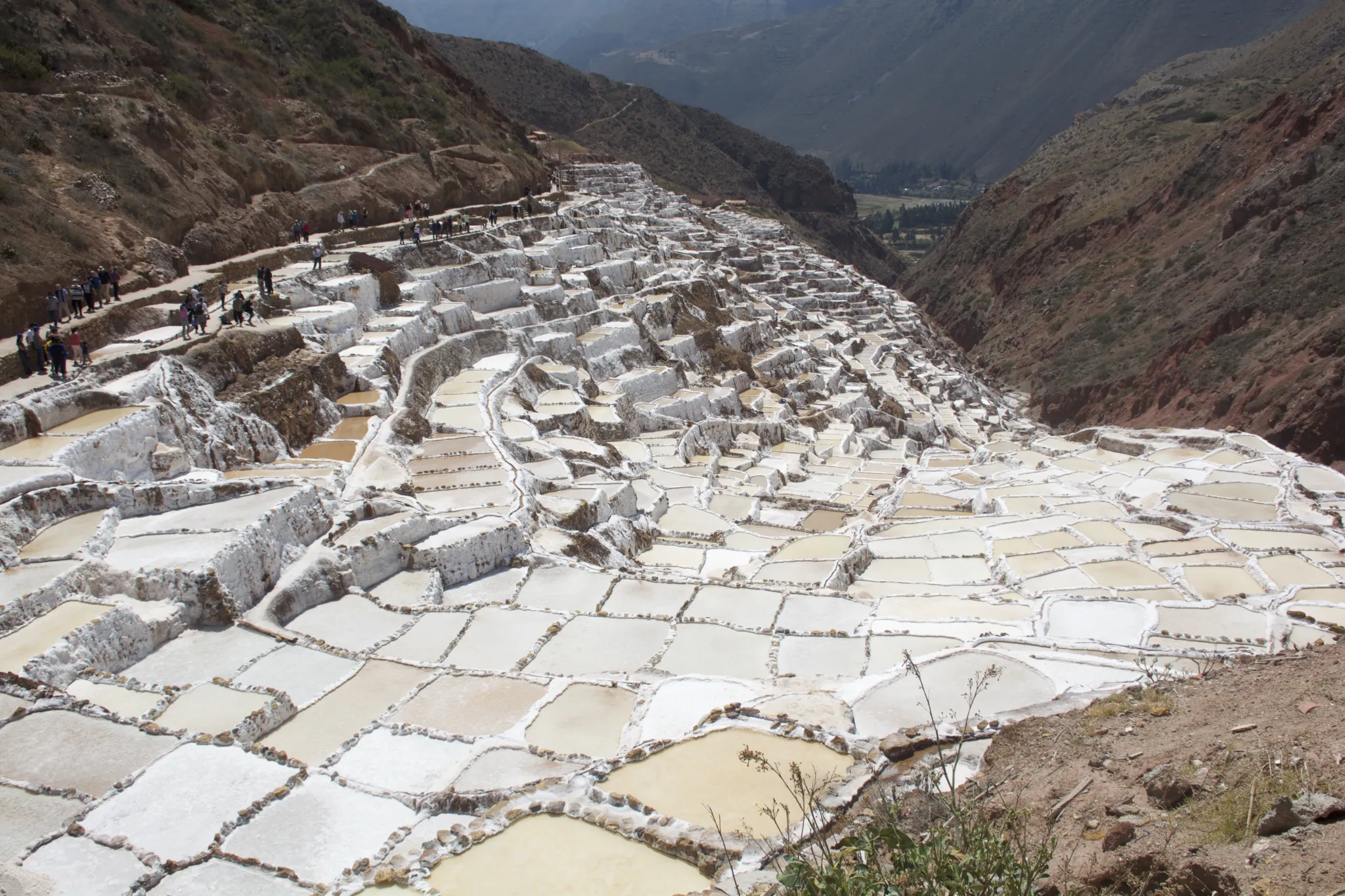 Maras sector