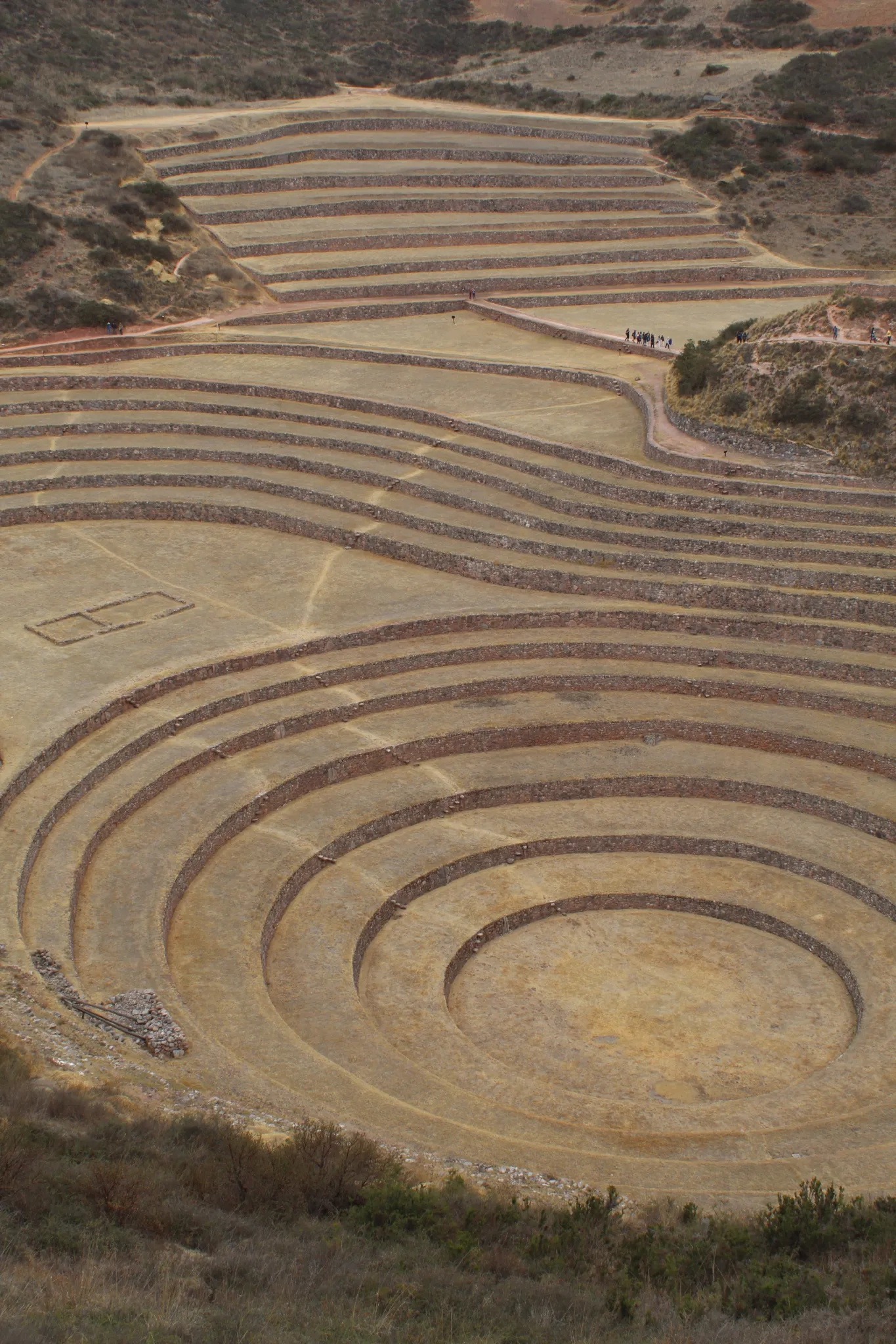 Moray ,