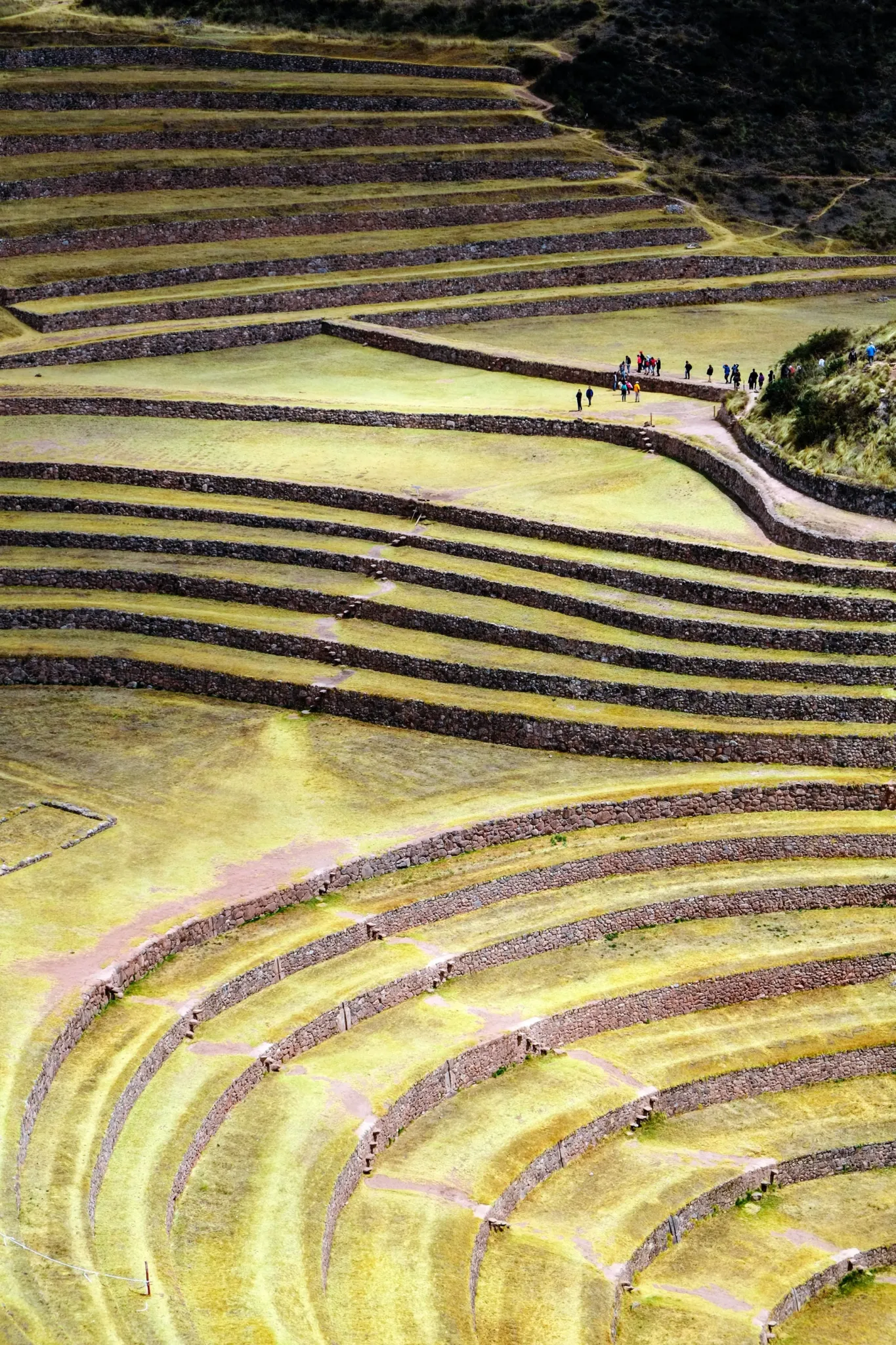 Moray