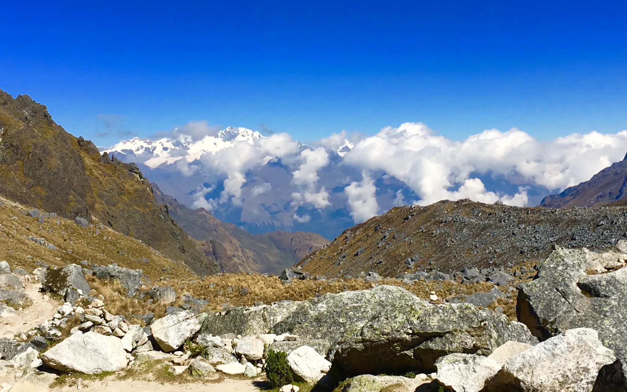 Salkantay from the pass