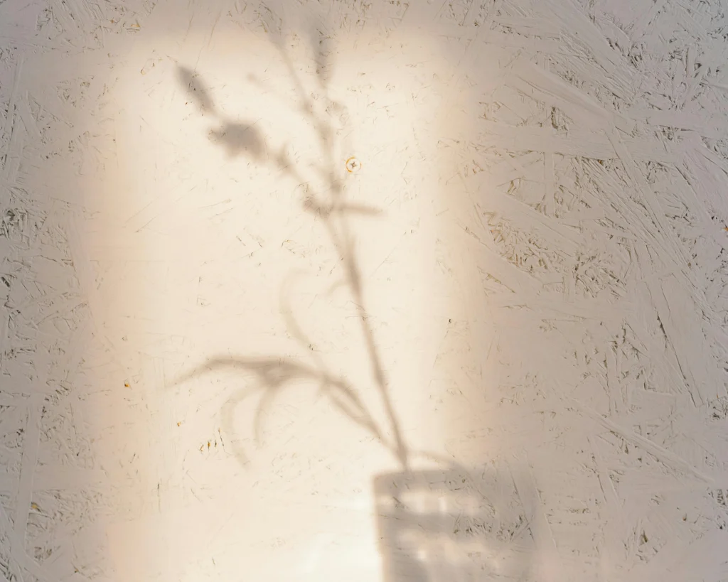 Not the End, But a Transformation - GRIEF